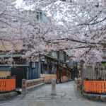 祇園白川のインスタ映えする場所と散歩・観光ルート【春の桜が絶景】