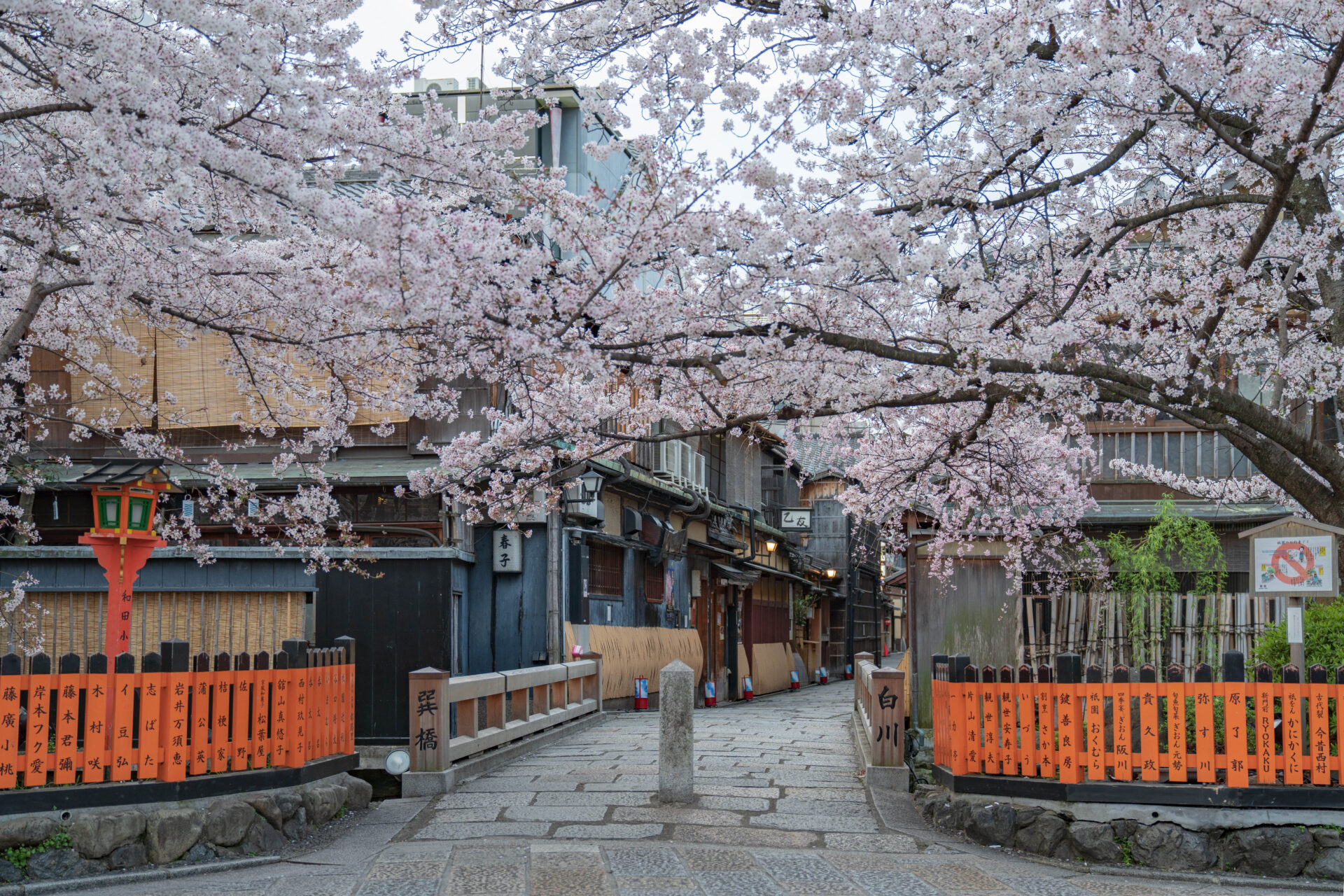 祇園白川のインスタ映えする場所と散歩・観光ルート【春の桜が絶景】