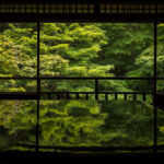 瑠璃光院の観光コースを写真で紹介!青もみじと机リフレの撮り方