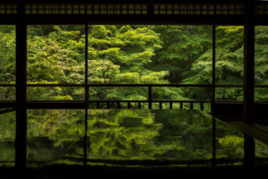 瑠璃光院の観光コースを写真で紹介!青もみじと机リフレの撮り方